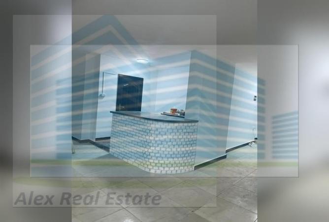 6744848 - Property Image 3