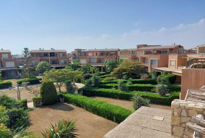 7049297 - Property Main Image