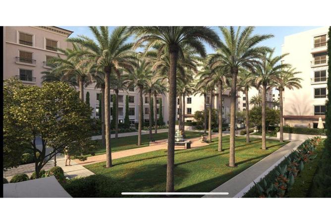 6965166 - صورة العقار 2