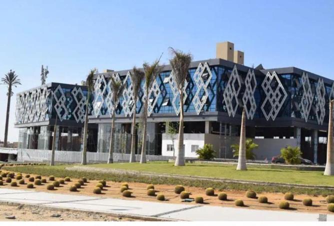 6979481 - صورة العقار 2