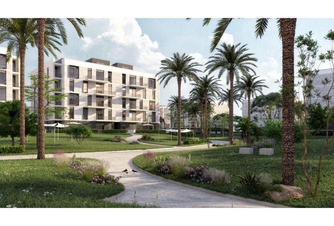 7063264 - صورة العقار 2