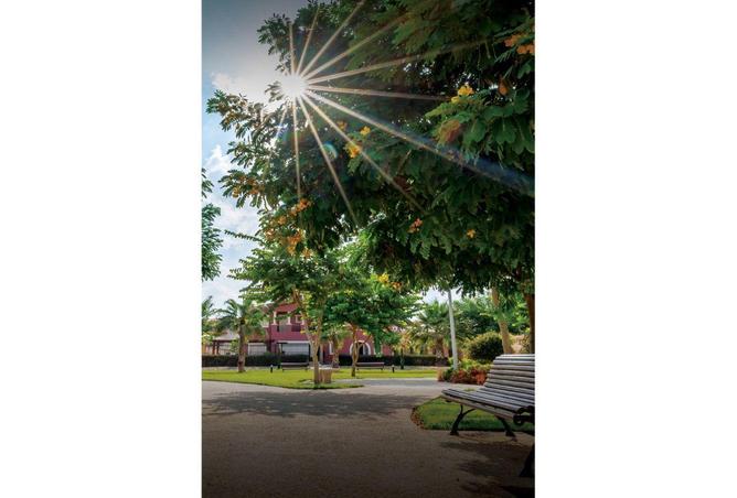 7075199 - صورة العقار 3