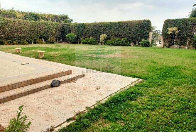 6897717 - صورة العقار 2