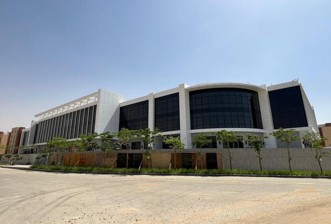 6818125 - صورة العقار 3