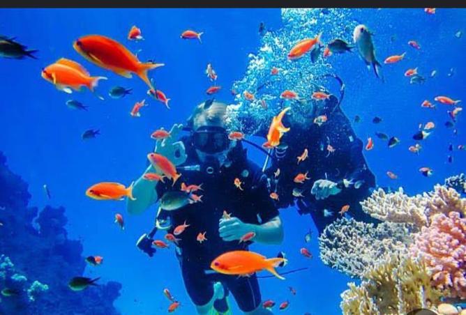 6879403 - صورة العقار 3