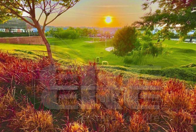 6863389 - صورة العقار 2