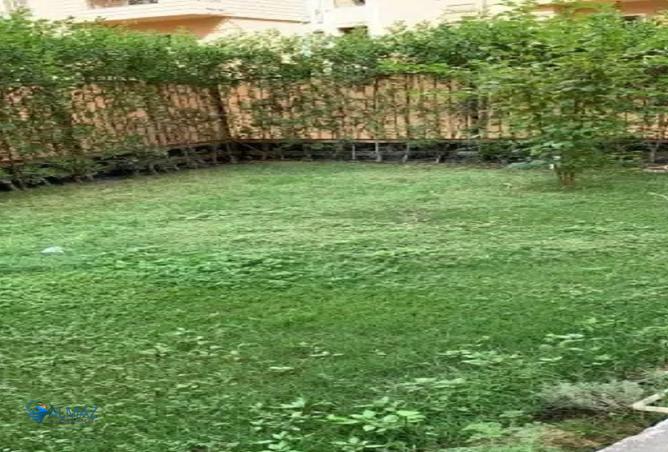 7463590 - صورة العقار 2