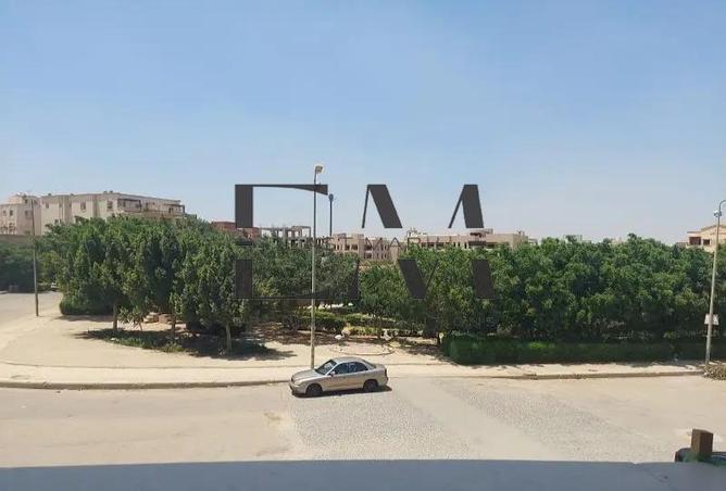 8351195 - صورة العقار 2