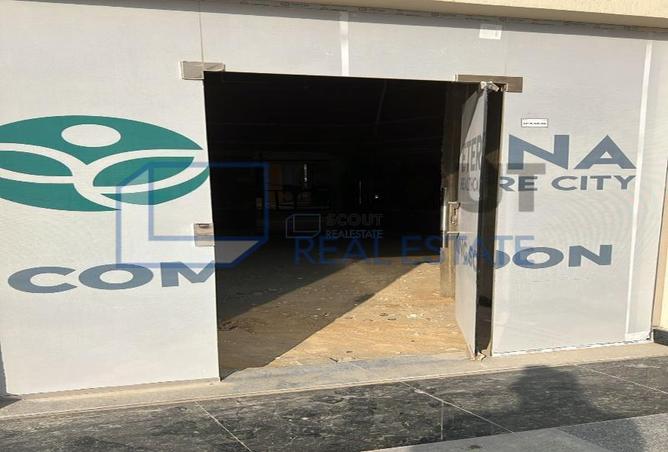 7167155 - Property Image 2