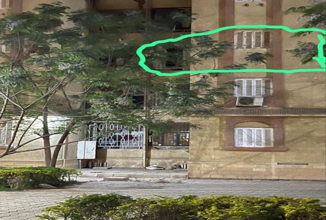 7189969 - صورة العقار 3