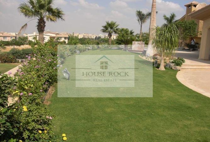 95191949 - صورة العقار 3