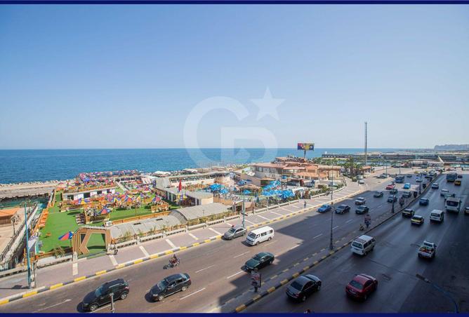 76235819 - Property Image 2