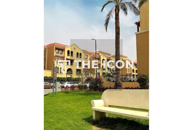 7017526 - Property Image 3