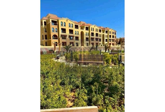 7017606 - Property Image 3