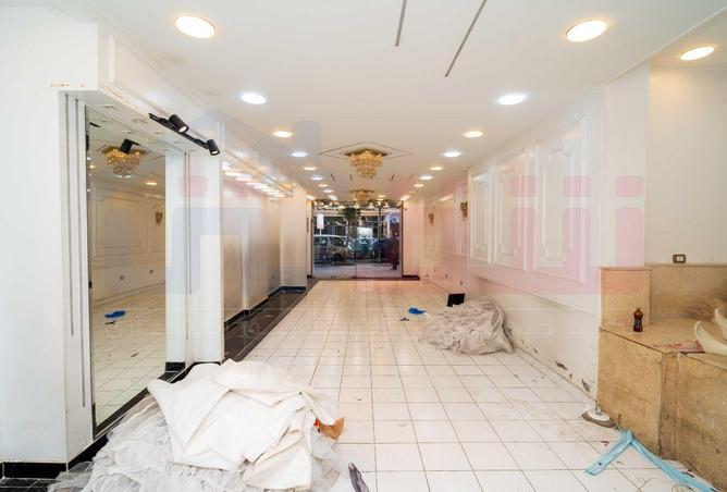 8718535 - Property Image 3