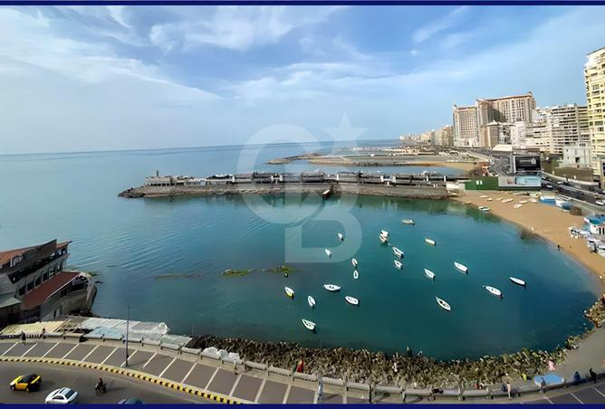 5943774 - Property Image 2