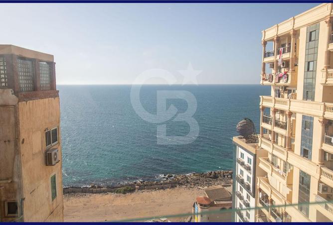 6481930 - Property Image 2