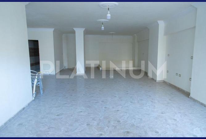 7058231 - صورة العقار 3