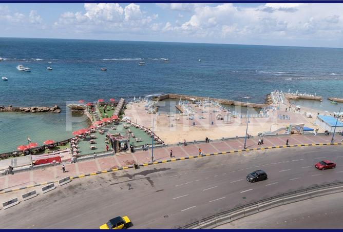 55500275 - الصورة الرئيسية للعقار