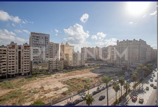 77053956 - Property Image 2