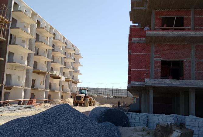 7196029 - صورة العقار 3