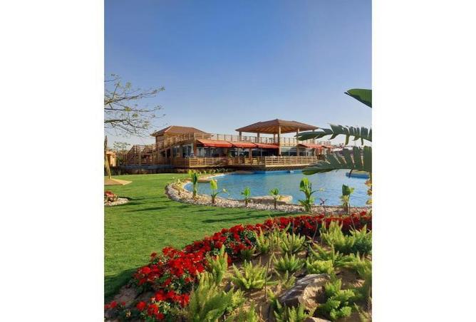 8417880 - صورة العقار 3