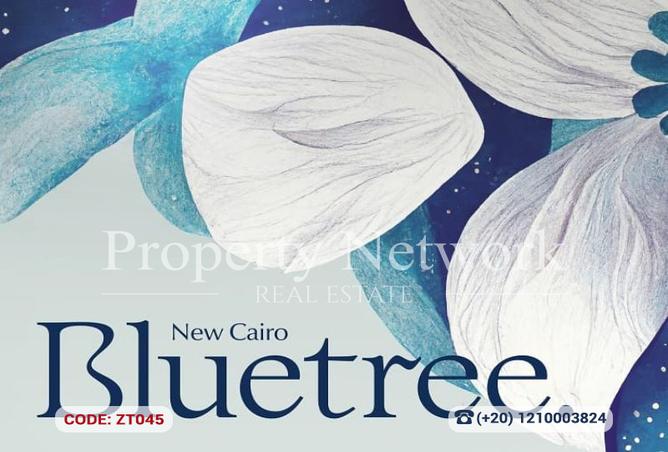 8250395 - Property Image 2