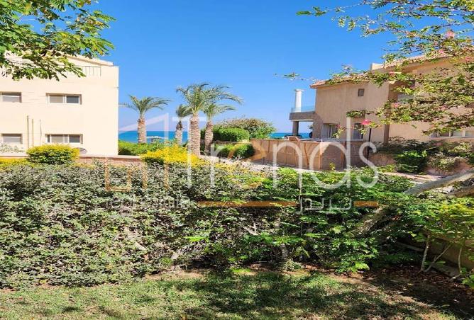 8106159 - صورة العقار 2