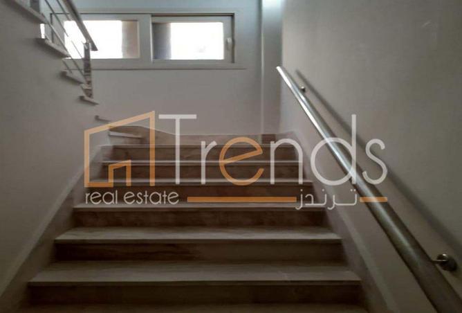 8244562 - Property Image 3