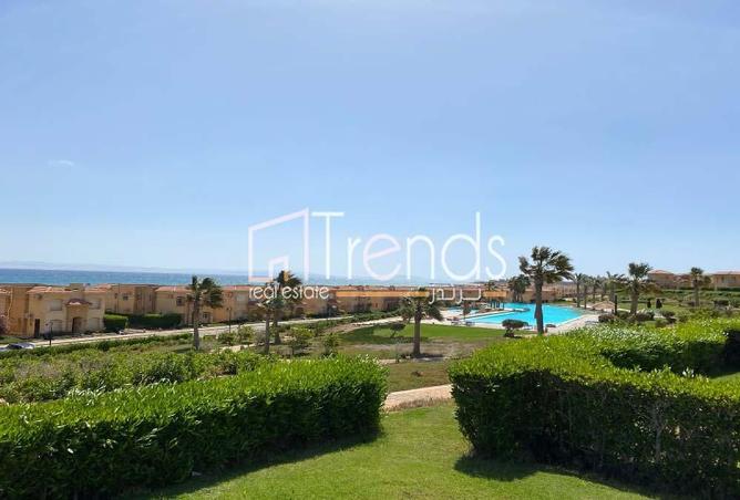 8393472 - Property Image 3