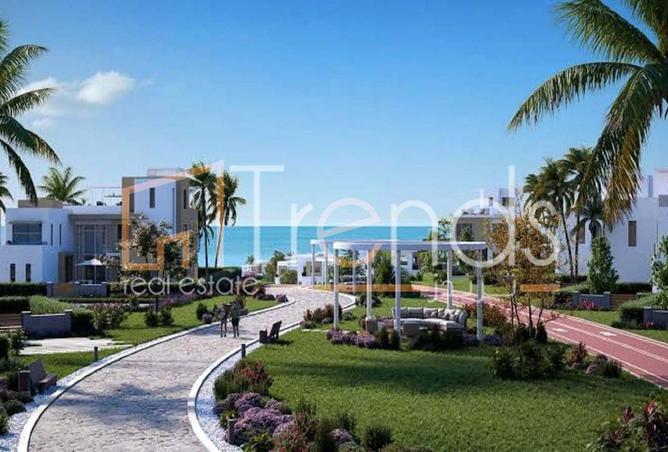 8393401 - الصورة الرئيسية للعقار