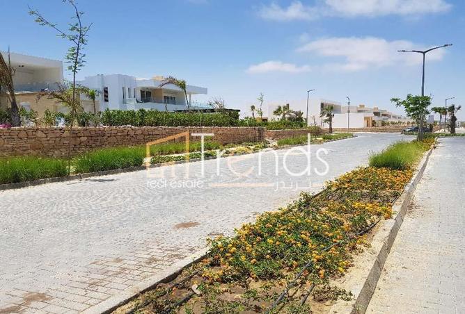 8393326 - Property Image 3