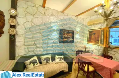 Apartment - 1 Bedroom - 1 Bathroom for rent in Stanley Bridge - Stanley - Hay Sharq - Alexandria