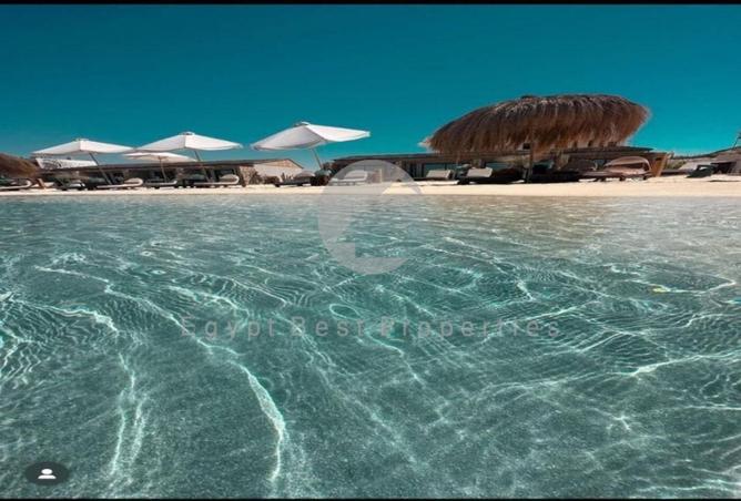 8619485 - صورة العقار 2