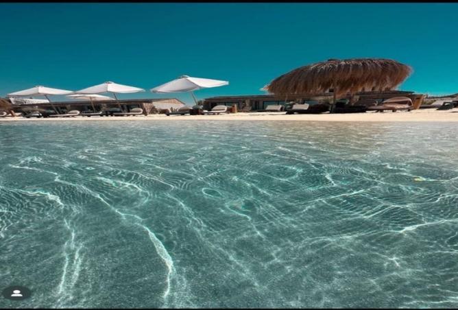 7924343 - الصورة الرئيسية للعقار