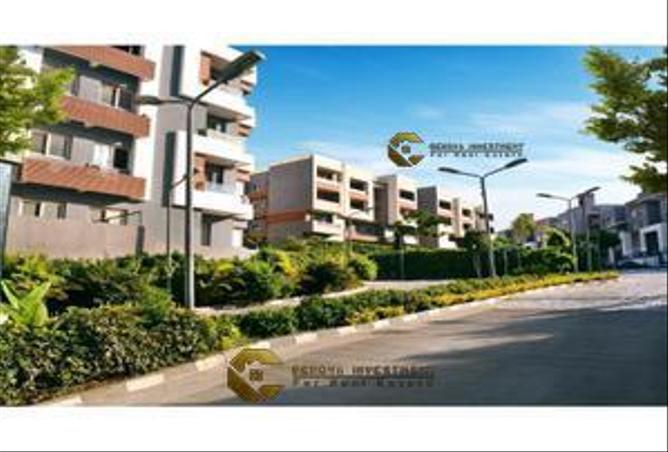 8622367 - Property Image 3