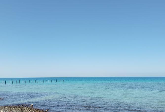 7202862 - Property Image 3