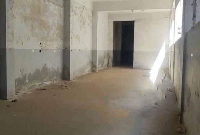 55745929 - Property Image 3