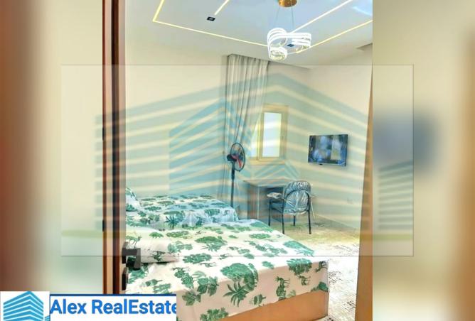 7209242 - صورة العقار 2