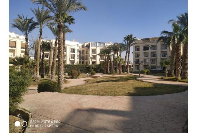 7212012 - صورة العقار 3