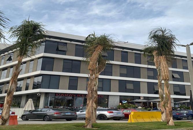 8308125 - صورة العقار 2