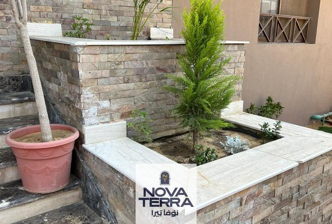 8241636 - صورة العقار 3