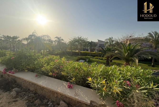 8188254 - صورة العقار 2