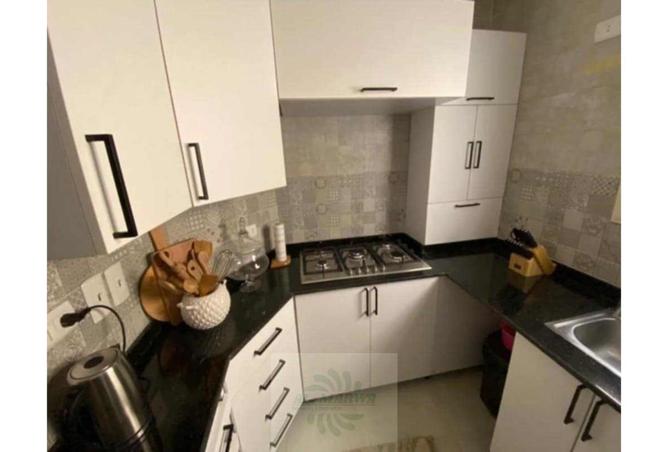 7233487 - Property Image 3