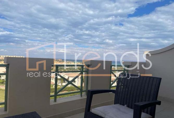 8243980 - Property Image 3