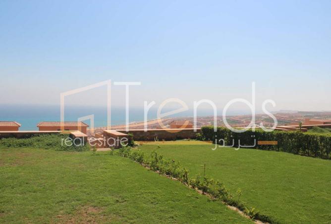 8387865 - Property Image 3