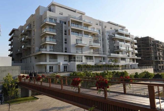 8322542 - Property Image 3