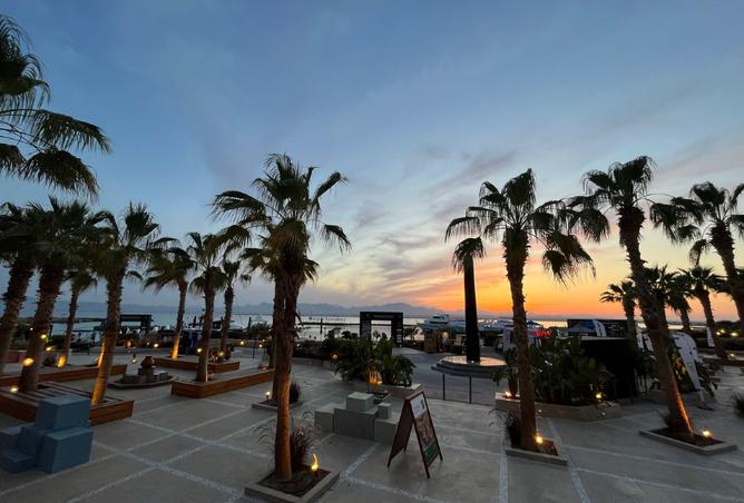 7248478 - Property Image 2