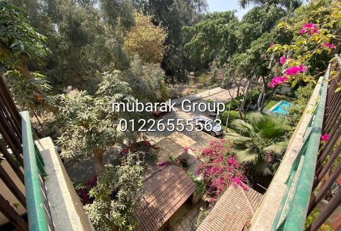 7248536 - صورة العقار 2