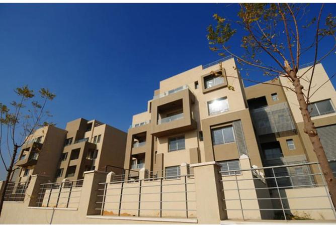 7253076 - صورة العقار 3